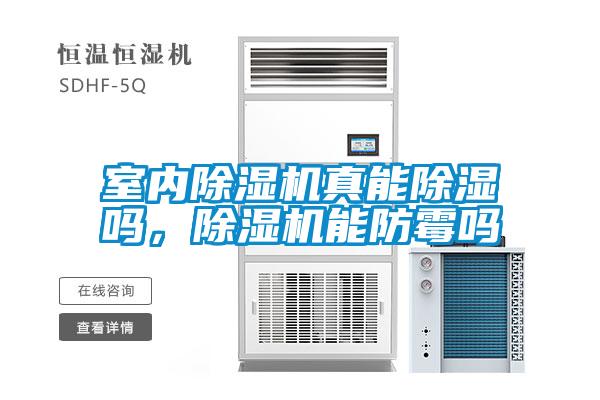 室內(nèi)除濕機(jī)真能除濕嗎，除濕機(jī)能防霉嗎