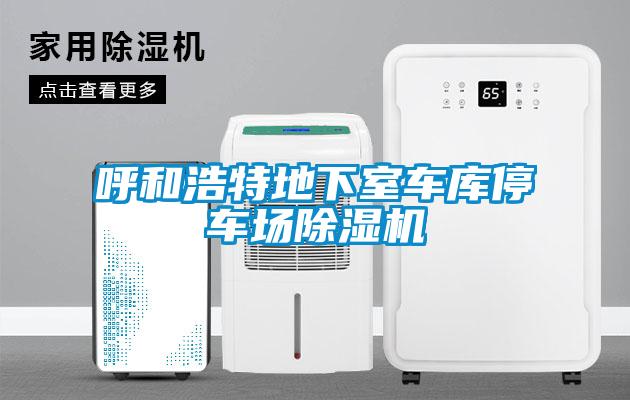呼和浩特地下室車(chē)庫(kù)停車(chē)場(chǎng)除濕機(jī)