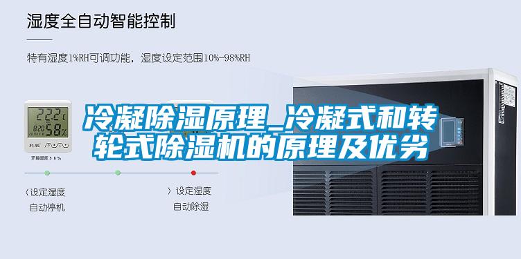 冷凝除濕原理_冷凝式和轉(zhuǎn)輪式除濕機的原理及優(yōu)劣