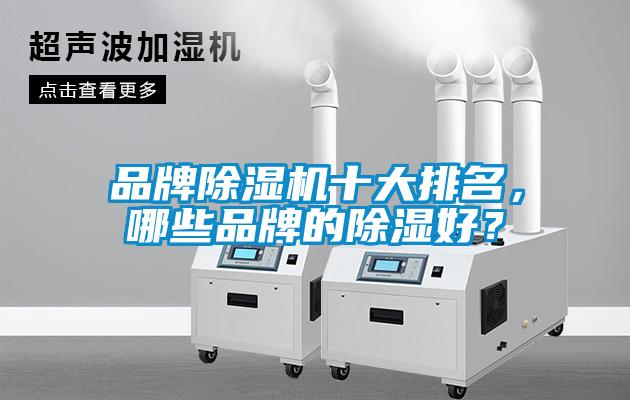 品牌除濕機(jī)十大排名，哪些品牌的除濕好？