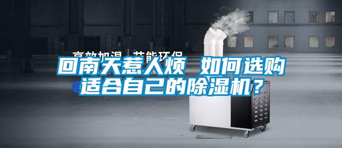 回南天惹人煩 如何選購適合自己的除濕機？