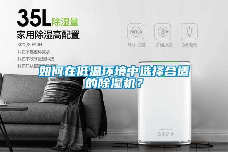如何在低溫環(huán)境中選擇合適的除濕機(jī)？