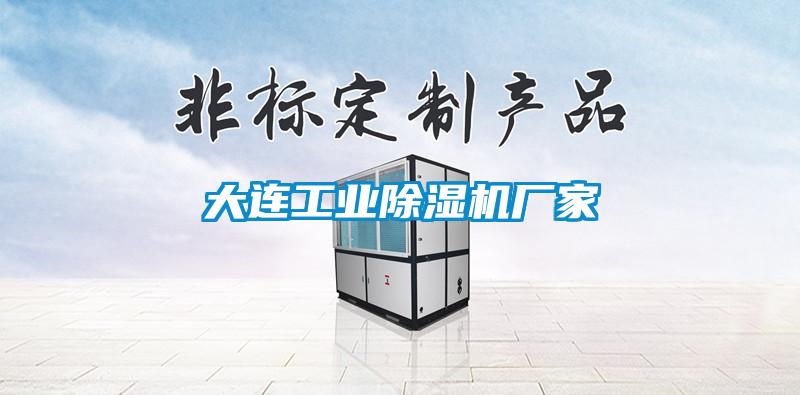 大連工業(yè)除濕機廠家