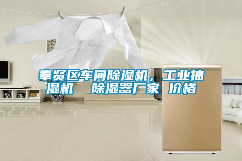 奉賢區(qū)車間除濕機，工業(yè)抽濕機  除濕器廠家 價格