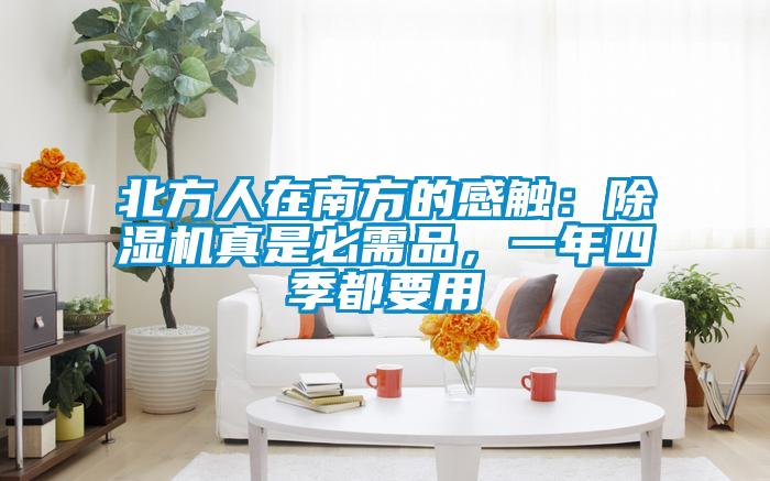 北方人在南方的感觸：除濕機真是必需品，一年四季都要用