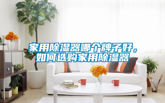 家用除濕器哪個牌子好，如何選購家用除濕器