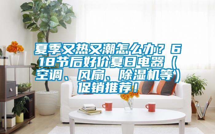 夏季又熱又潮怎么辦？618節(jié)后好價(jià)夏日電器（空調(diào)、風(fēng)扇、除濕機(jī)等）促銷推薦！