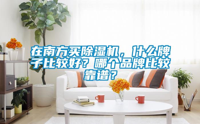 在南方買(mǎi)除濕機(jī)，什么牌子比較好？哪個(gè)品牌比較靠譜？