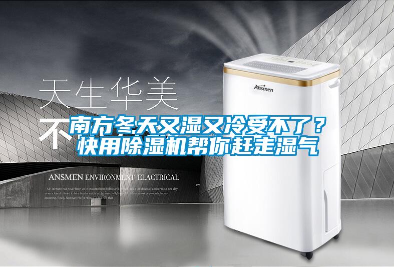 南方冬天又濕又冷受不了？快用除濕機幫你趕走濕氣
