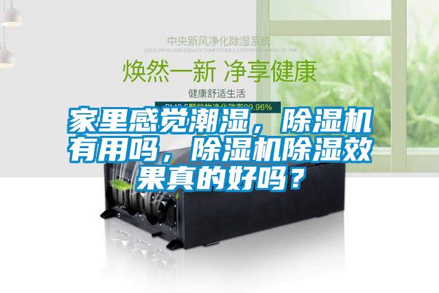 家里感覺潮濕，除濕機(jī)有用嗎，除濕機(jī)除濕效果真的好嗎？
