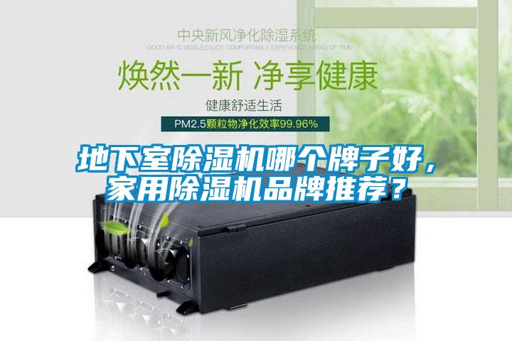 地下室除濕機(jī)哪個(gè)牌子好，家用除濕機(jī)品牌推薦？