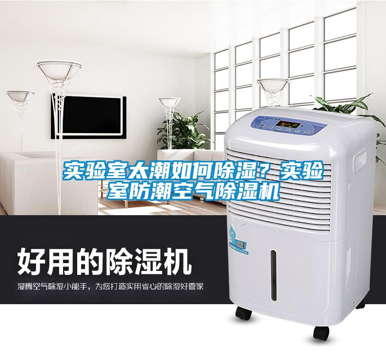實驗室太潮如何除濕？實驗室防潮空氣除濕機
