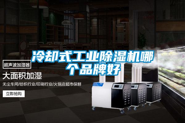 冷卻式工業(yè)除濕機(jī)哪個(gè)品牌好