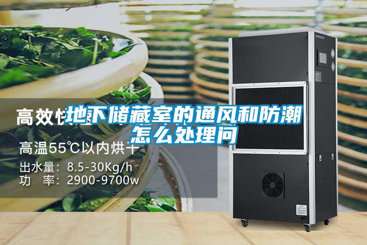 地下儲(chǔ)藏室的通風(fēng)和防潮怎么處理問(wèn)
