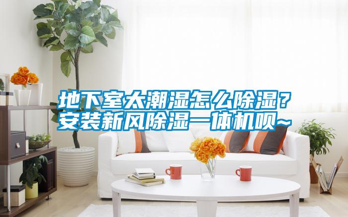 地下室太潮濕怎么除濕？安裝新風(fēng)除濕一體機唄~