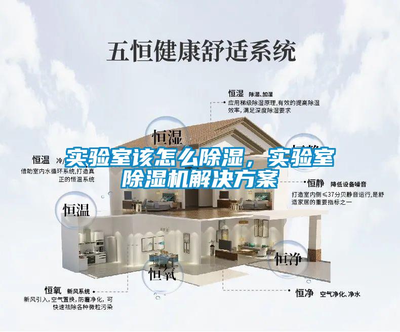 實驗室該怎么除濕，實驗室除濕機解決方案