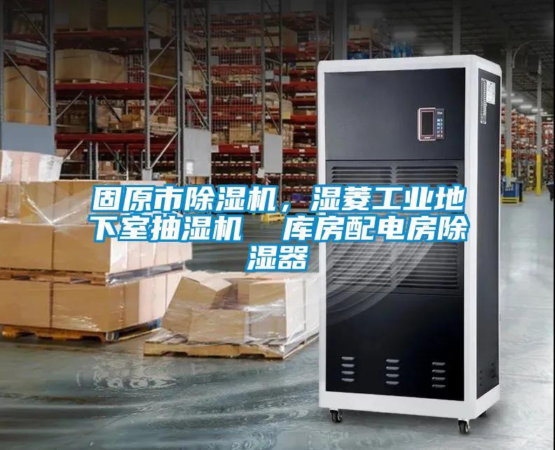 固原市除濕機(jī)，濕菱工業(yè)地下室抽濕機(jī)  庫(kù)房配電房除濕器