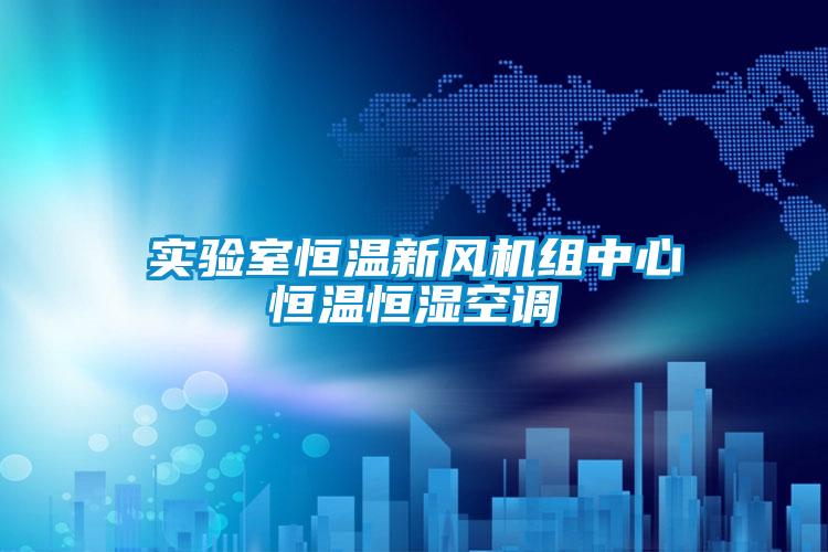 實驗室恒溫新風(fēng)機組中心恒溫恒濕空調(diào)