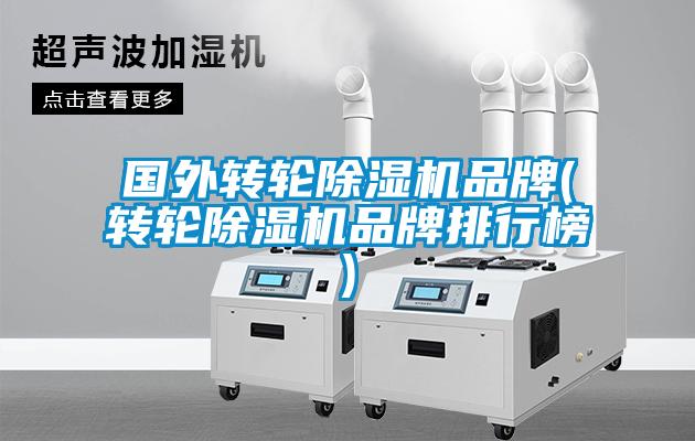 國外轉(zhuǎn)輪除濕機(jī)品牌(轉(zhuǎn)輪除濕機(jī)品牌排行榜)