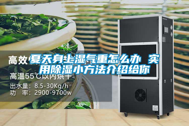 夏天身上濕氣重怎么辦 實(shí)用除濕小方法介紹給你