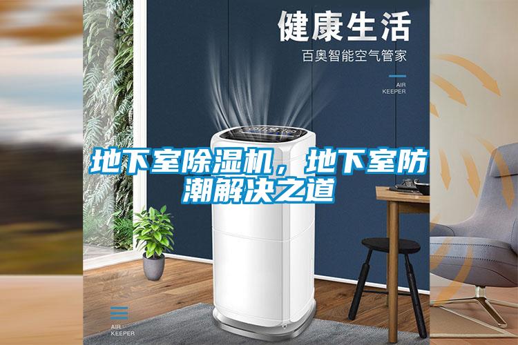 地下室除濕機，地下室防潮解決之道