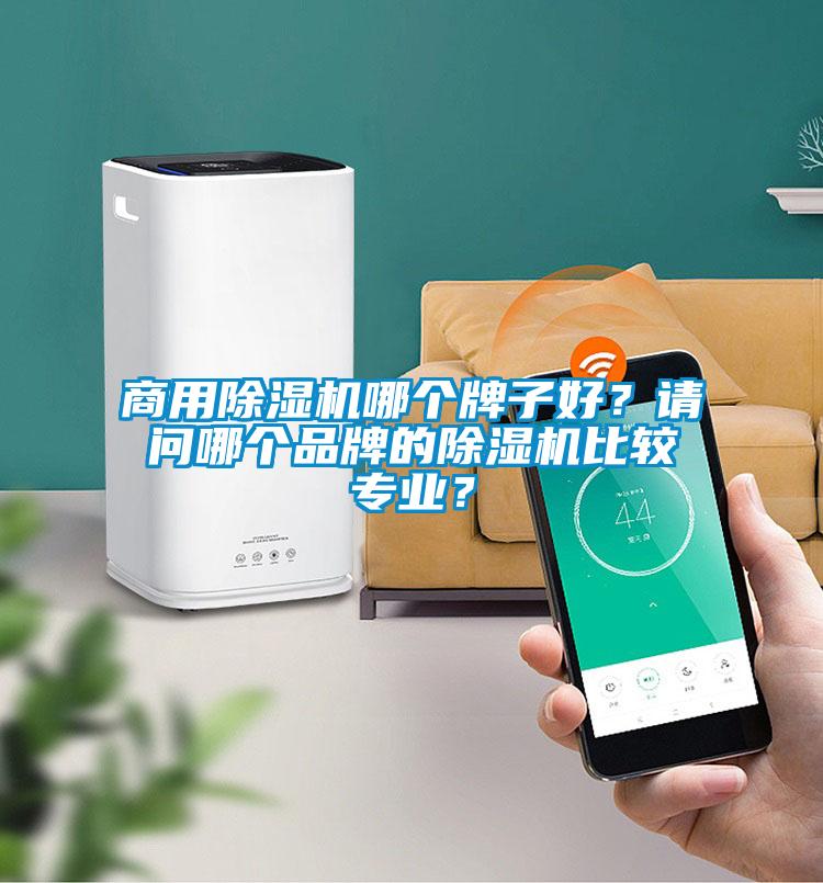 商用除濕機哪個牌子好？請問哪個品牌的除濕機比較專業(yè)？