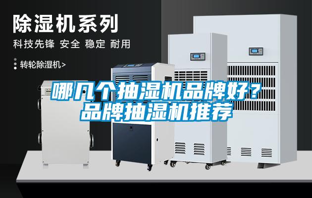 哪幾個(gè)抽濕機(jī)品牌好？品牌抽濕機(jī)推薦