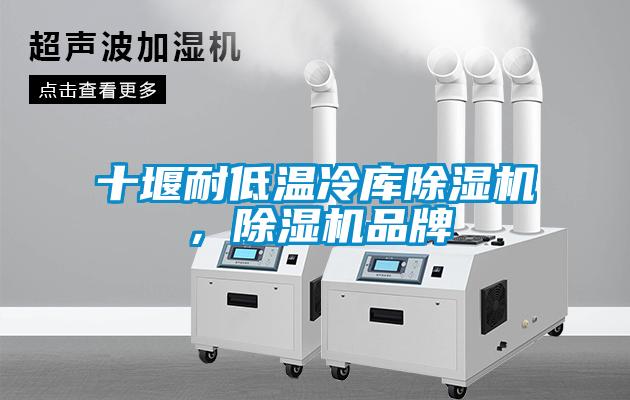 十堰耐低溫冷庫除濕機，除濕機品牌