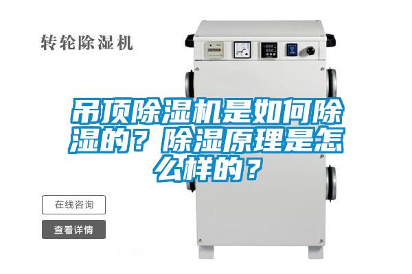 吊頂除濕機(jī)是如何除濕的？除濕原理是怎么樣的？