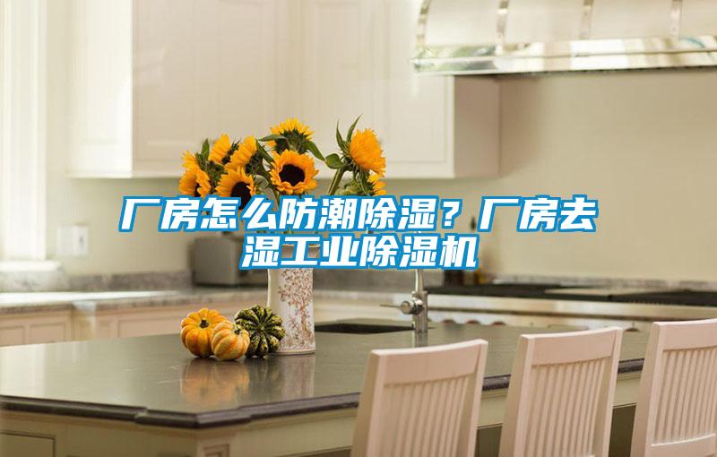 廠房怎么防潮除濕？廠房去濕工業(yè)除濕機(jī)