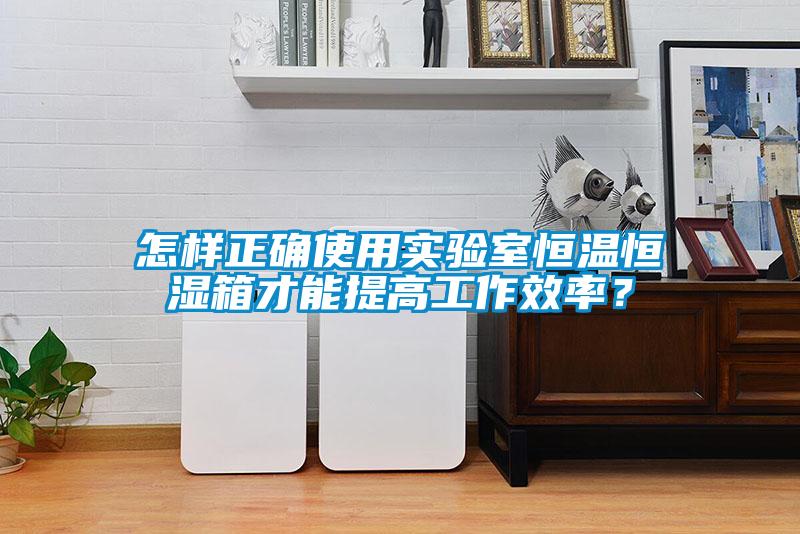 怎樣正確使用實驗室恒溫恒濕箱才能提高工作效率？