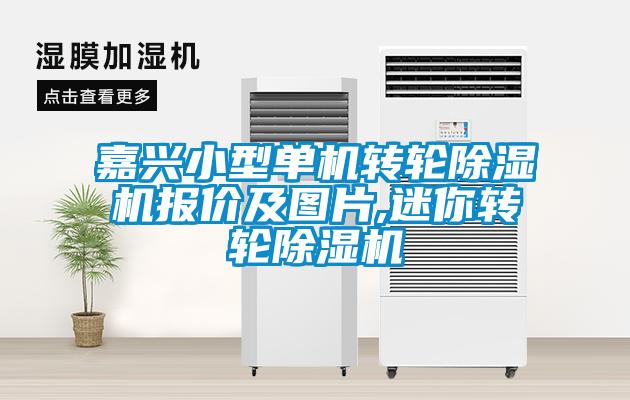 嘉興小型單機轉(zhuǎn)輪除濕機報價及圖片,迷你轉(zhuǎn)輪除濕機