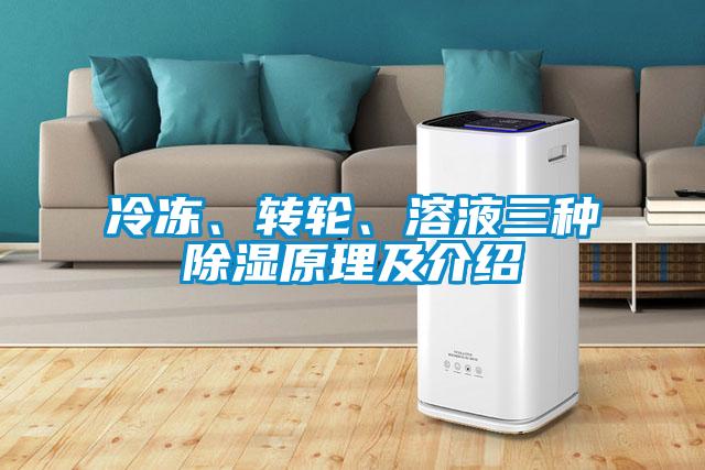 冷凍、轉(zhuǎn)輪、溶液三種除濕原理及介紹