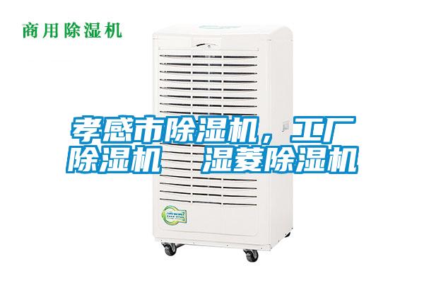 孝感市除濕機(jī)，工廠除濕機(jī)  濕菱除濕機(jī)