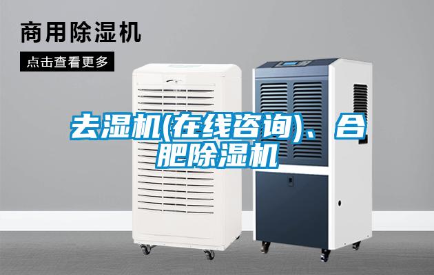 去濕機(jī)(在線咨詢)、合肥除濕機(jī)