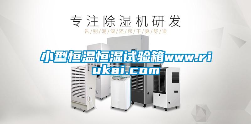 小型恒溫恒濕試驗(yàn)箱www.riukai.com