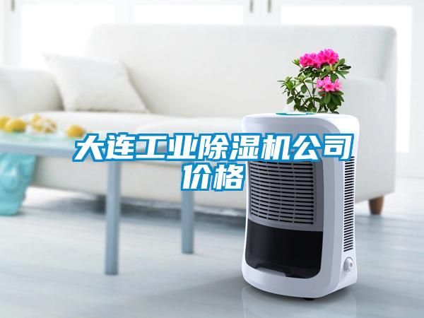 大連工業(yè)除濕機公司價格
