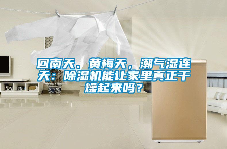 回南天、黃梅天，潮氣濕連天：除濕機(jī)能讓家里真正干燥起來嗎？