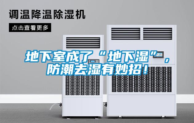 地下室成了“地下濕”，防潮去濕有妙招！