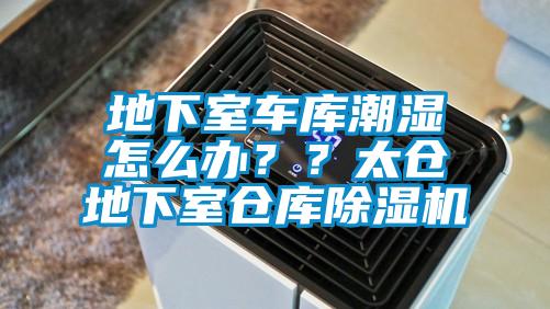 地下室車庫潮濕怎么辦？？太倉地下室倉庫除濕機(jī)