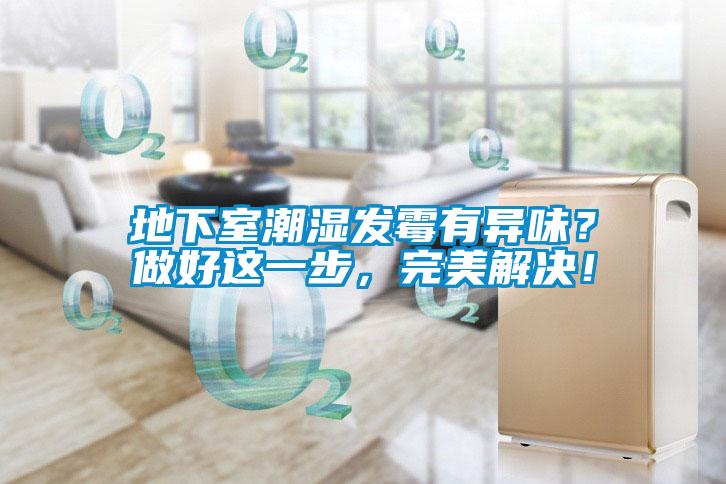 地下室潮濕發(fā)霉有異味？做好這一步，完美解決！