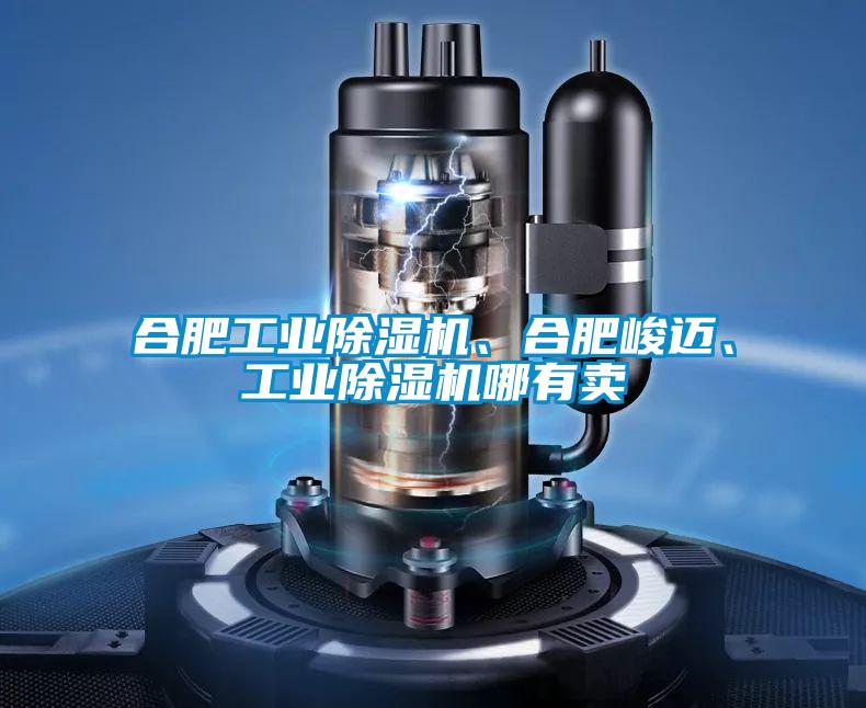 合肥工業(yè)除濕機、合肥峻邁、工業(yè)除濕機哪有賣