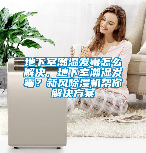 地下室潮濕發(fā)霉怎么解決，地下室潮濕發(fā)霉？新風(fēng)除濕機(jī)幫你解決方案