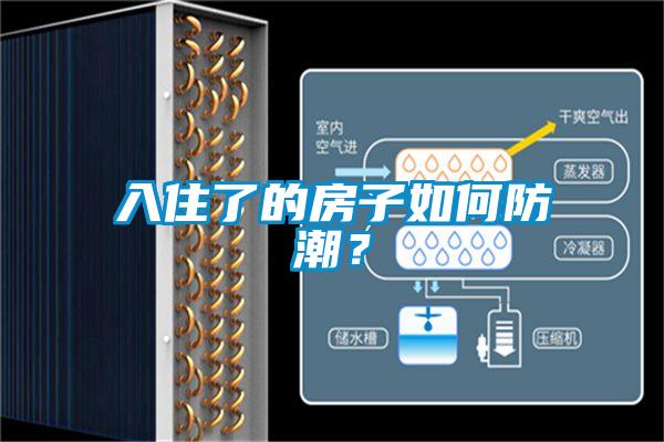 入住了的房子如何防潮？