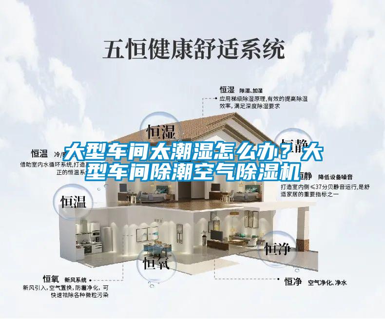 大型車間太潮濕怎么辦？大型車間除潮空氣除濕機(jī)