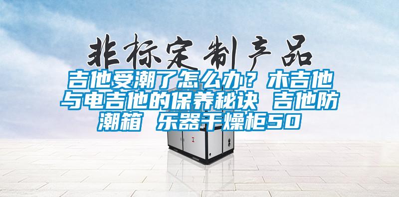 吉他受潮了怎么辦？木吉他與電吉他的保養(yǎng)秘訣 吉他防潮箱 樂(lè)器干燥柜50