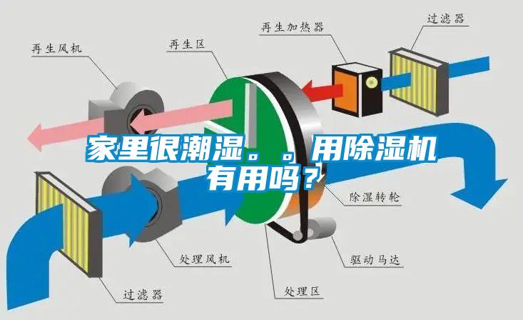 家里很潮濕。。用除濕機有用嗎？
