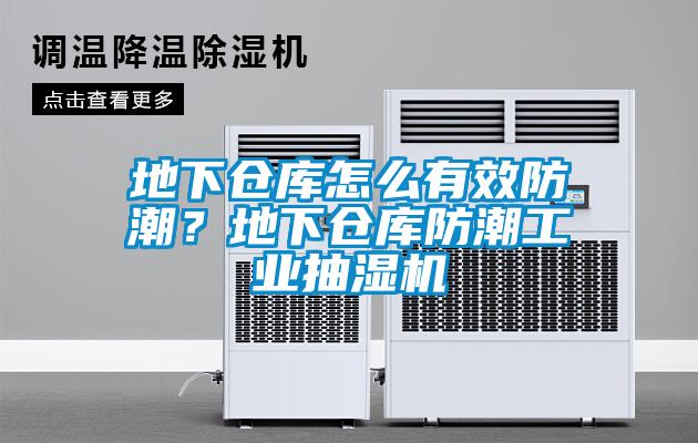 地下倉庫怎么有效防潮？地下倉庫防潮工業(yè)抽濕機(jī)