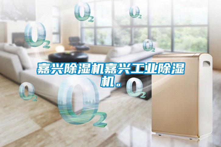 嘉興除濕機嘉興工業(yè)除濕機。