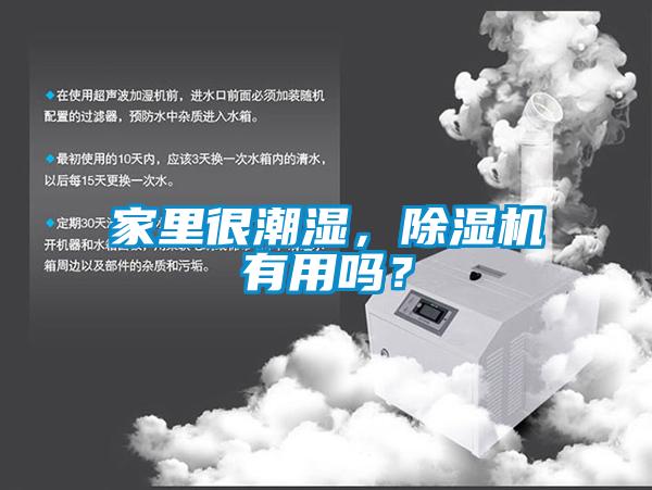 家里很潮濕，除濕機(jī)有用嗎？